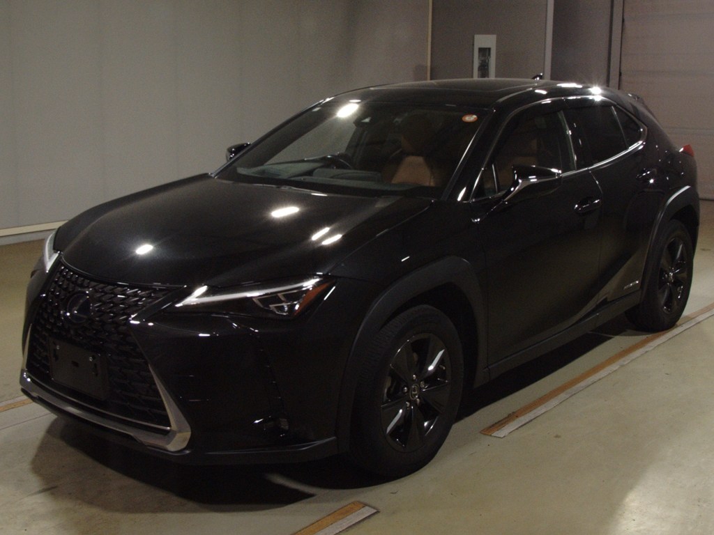 UX250h バージョンC