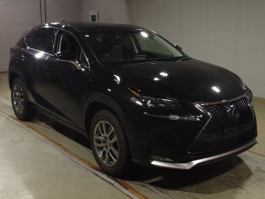 NX300h Iパッケージ