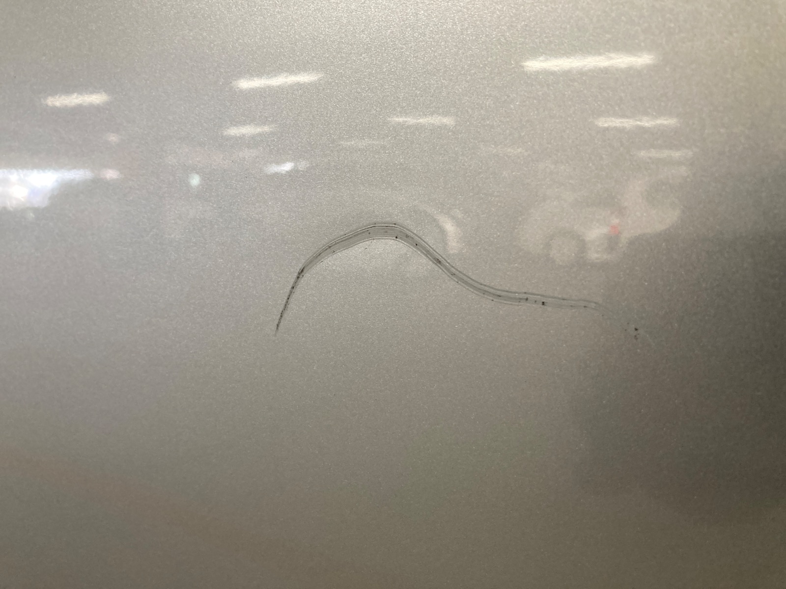 キズ・ヘコミ_19