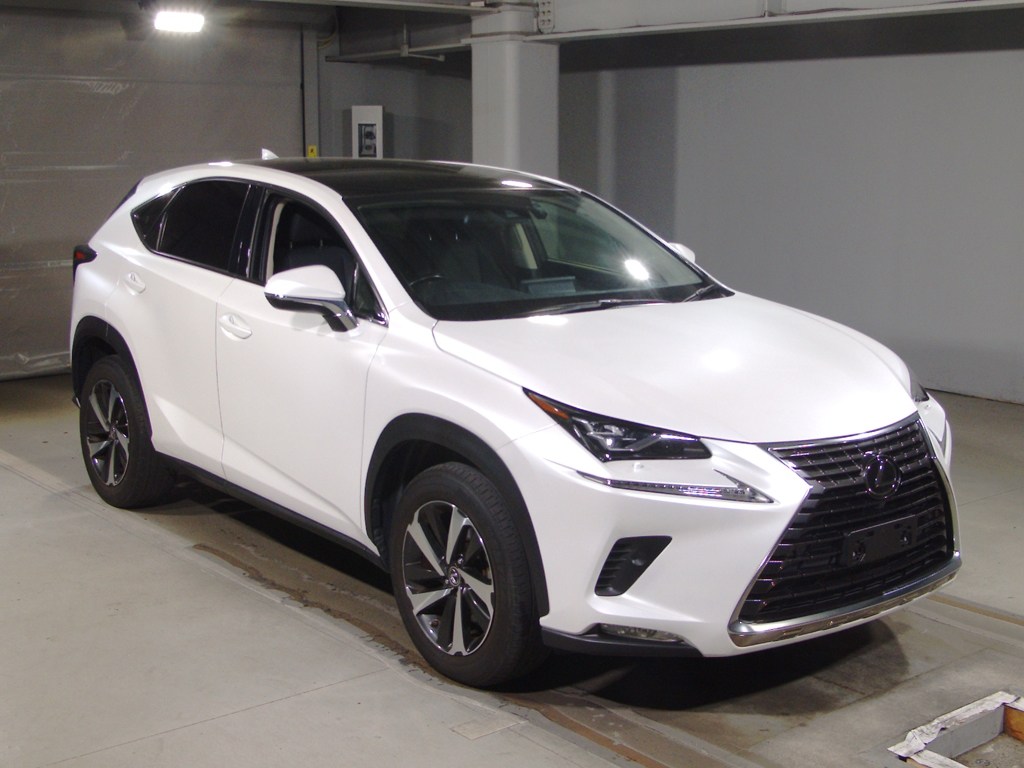 NX300 Iパッケージ