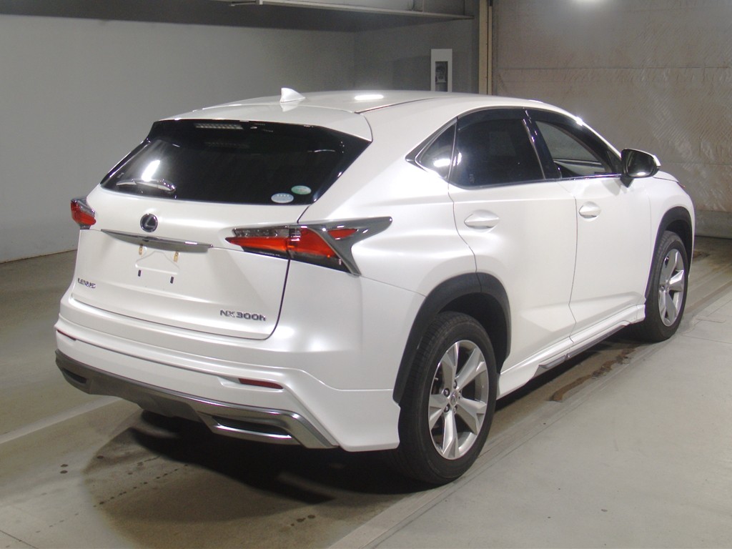 NX300h バージョンL