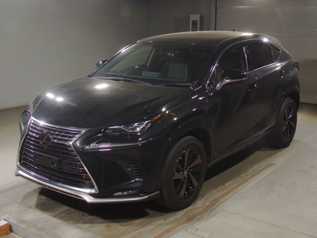 レクサス NX300 スパイス&シック