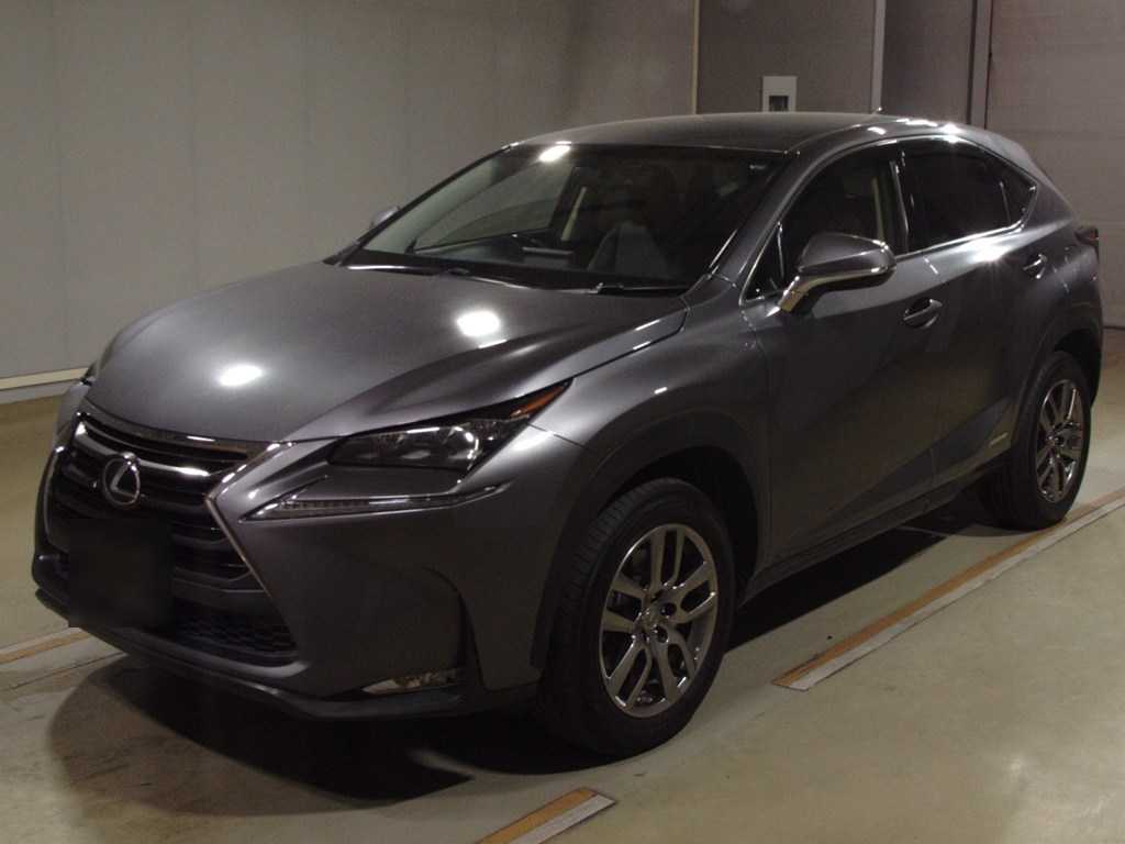 NX300h Iパッケージ