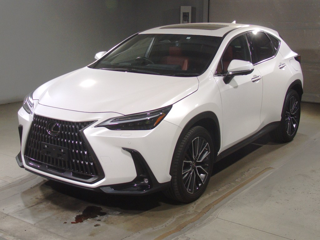 レクサス NX250 バージョンL