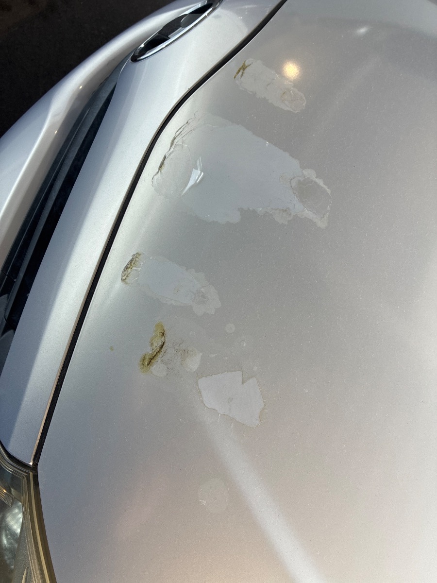 キズ・ヘコミ_14