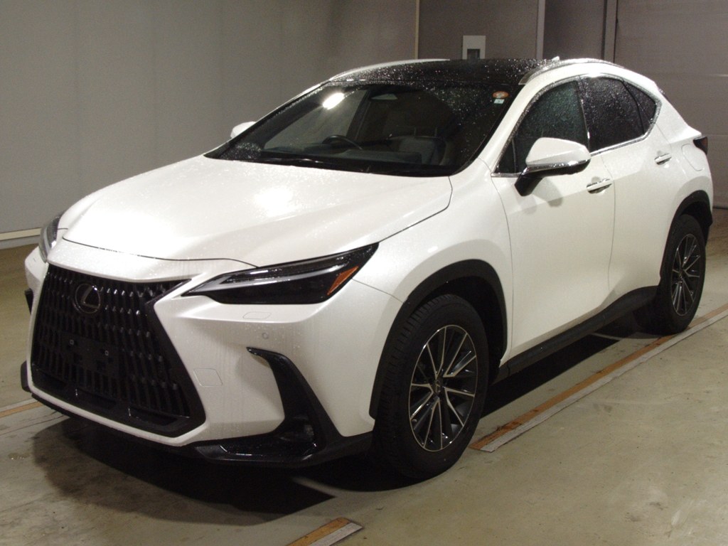 レクサス NX250 バージョンL