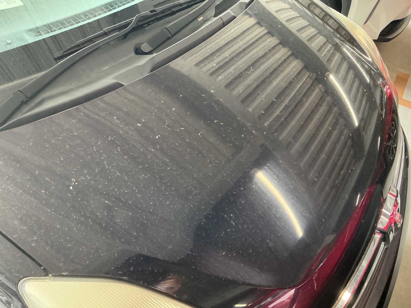 キズ・ヘコミ_14