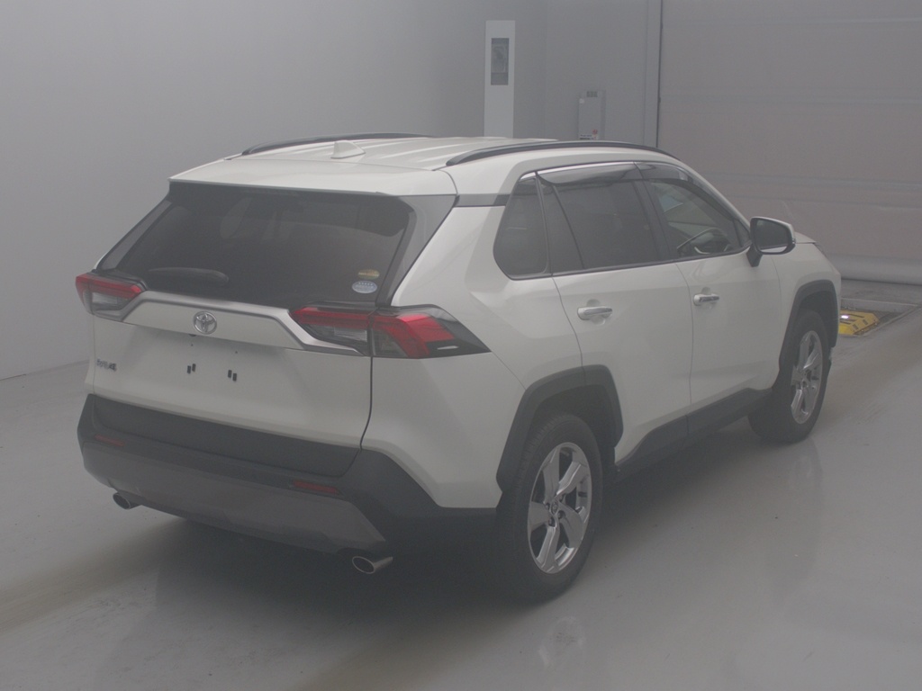 RAV4 G
