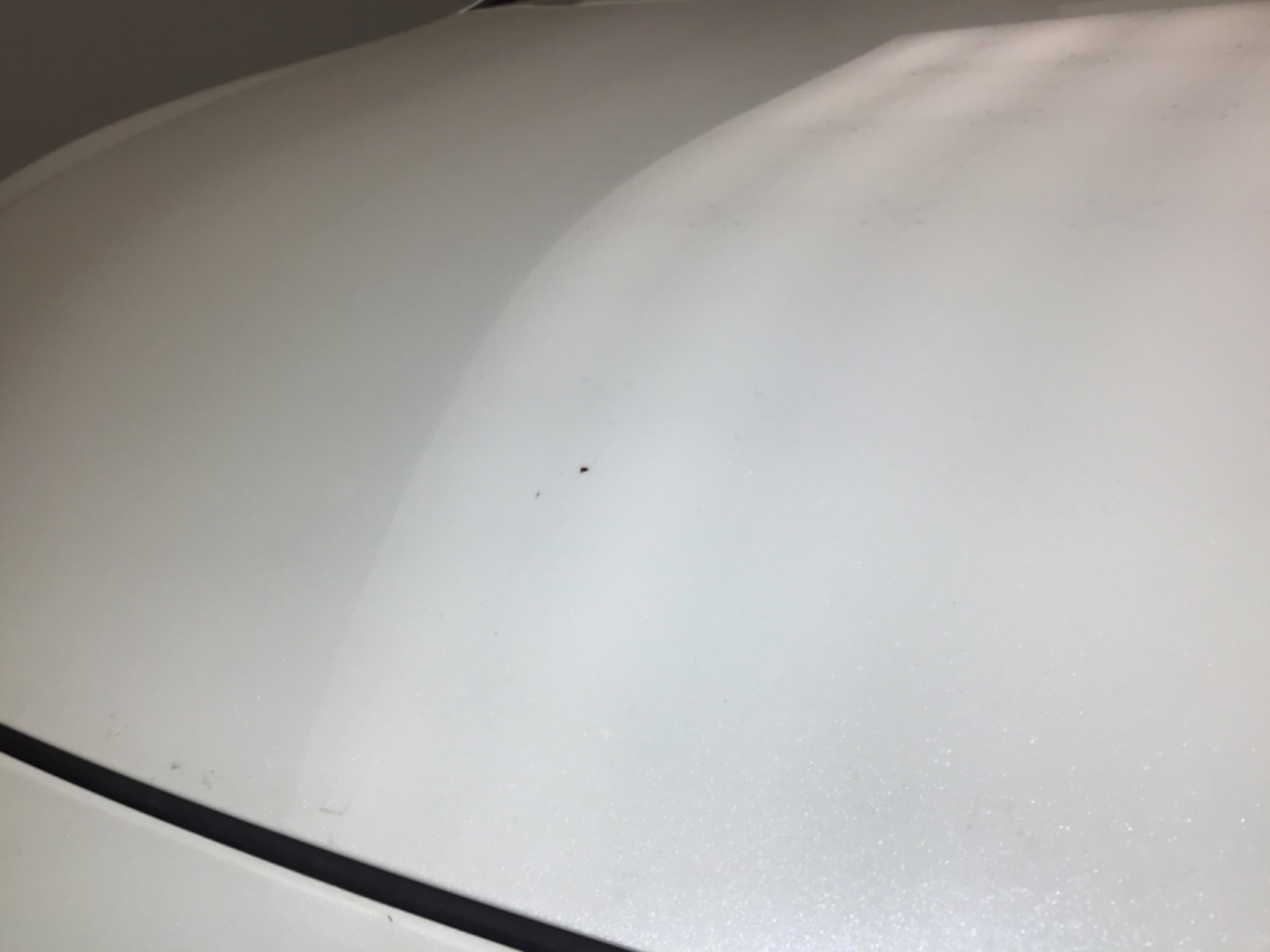 キズ・ヘコミ_14