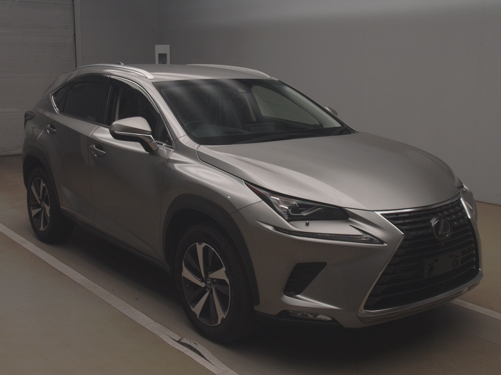 NX300h バージョンL