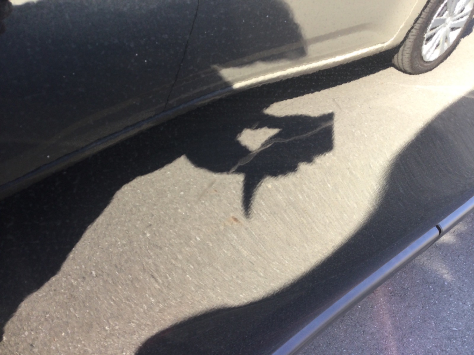 キズ・ヘコミ_27