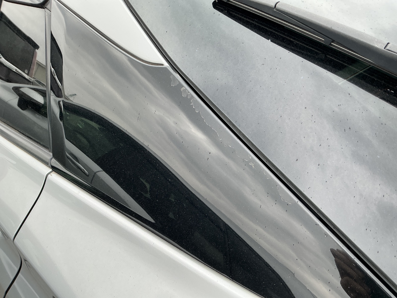 キズ・ヘコミ_39