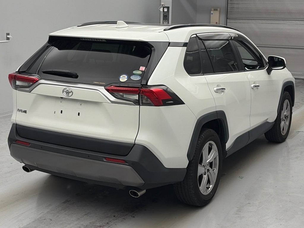 RAV4 G