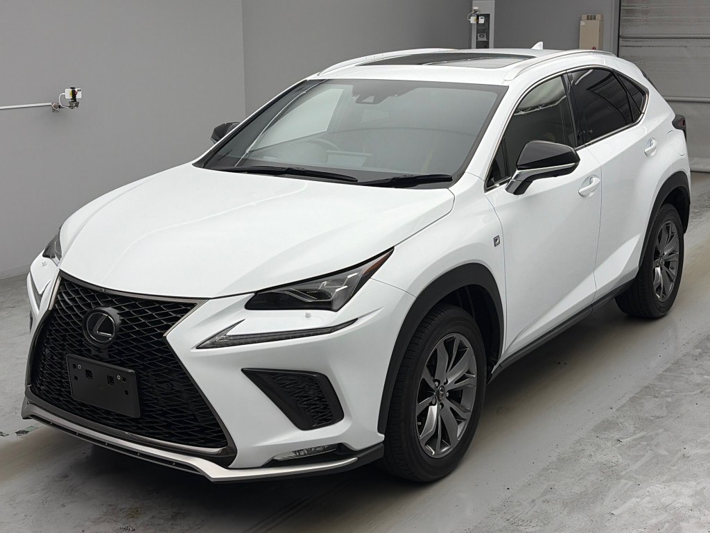 NX300 Fスポーツ
