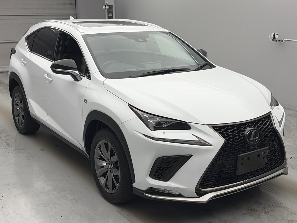 NX300 Fスポーツ