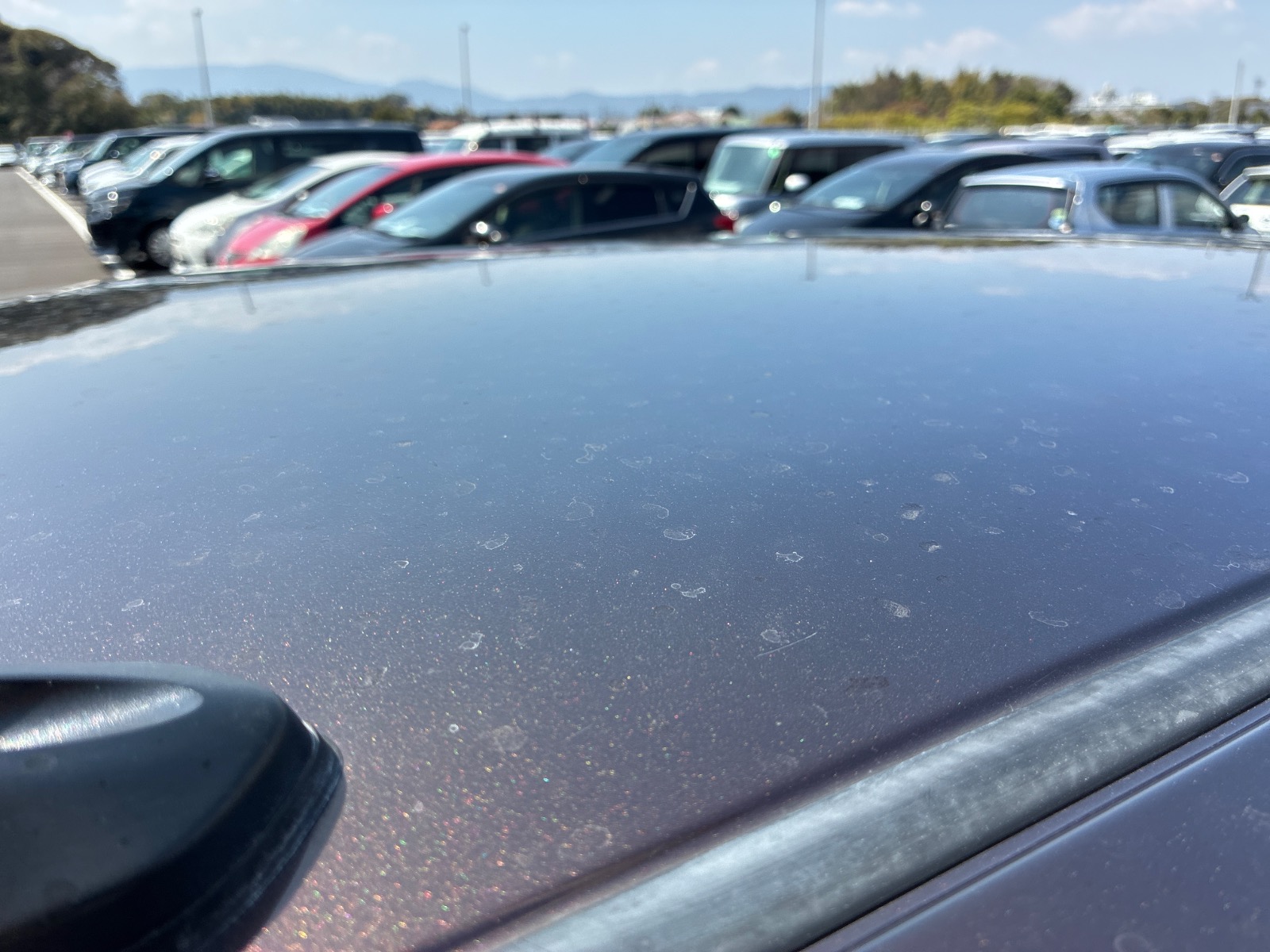 キズ・ヘコミ_37